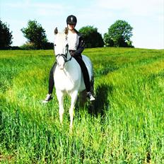 Hollandsk Sportspony  JUANOS (JOENS) <3