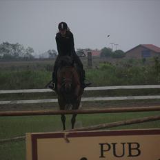 Anden særlig race Laura (red i sommers)