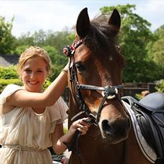 Anden særlig race Prins Kashmir • passer:-*