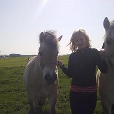 Fjordhest Basse/Bassemand!:*<3.