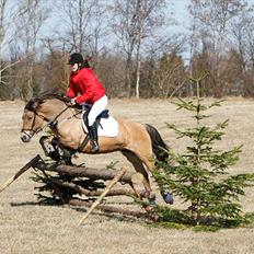 Anden særlig race Klakkebjergs la chevalle