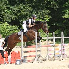 Anden særlig race Medoris 