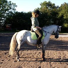 Anden særlig race Tulle