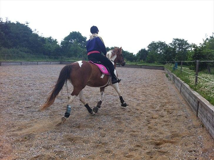 Pinto Cherié - Faaaaaaaaart <3 billede 7