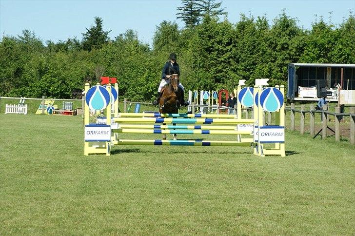 Anden særlig race Jussie - billund :) billede 13