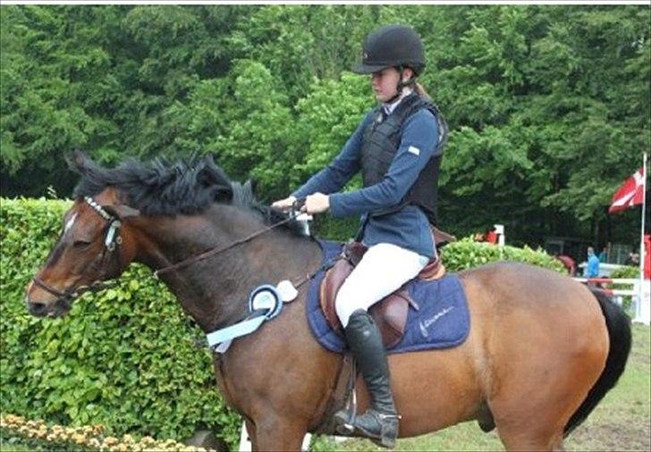 Anden særlig race Jussie - hahahaha :b billede 14