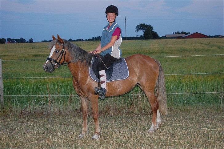 Tysk Sportspony Bella - Efterår 2010 - mig på Bella billede 11