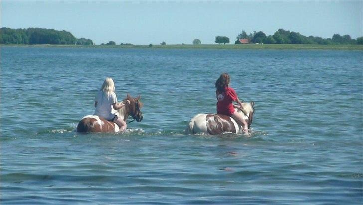 Pinto Cherié - Ude og svømme :-D billede 12