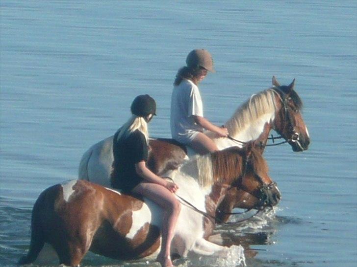 Pinto Cherié - Water <3 billede 13