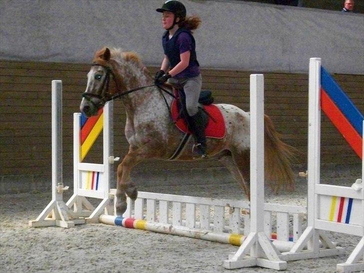 Anden særlig race Jolly Jumper - Jeg turde godt xD 2. springtime
Fotograf: EA billede 8