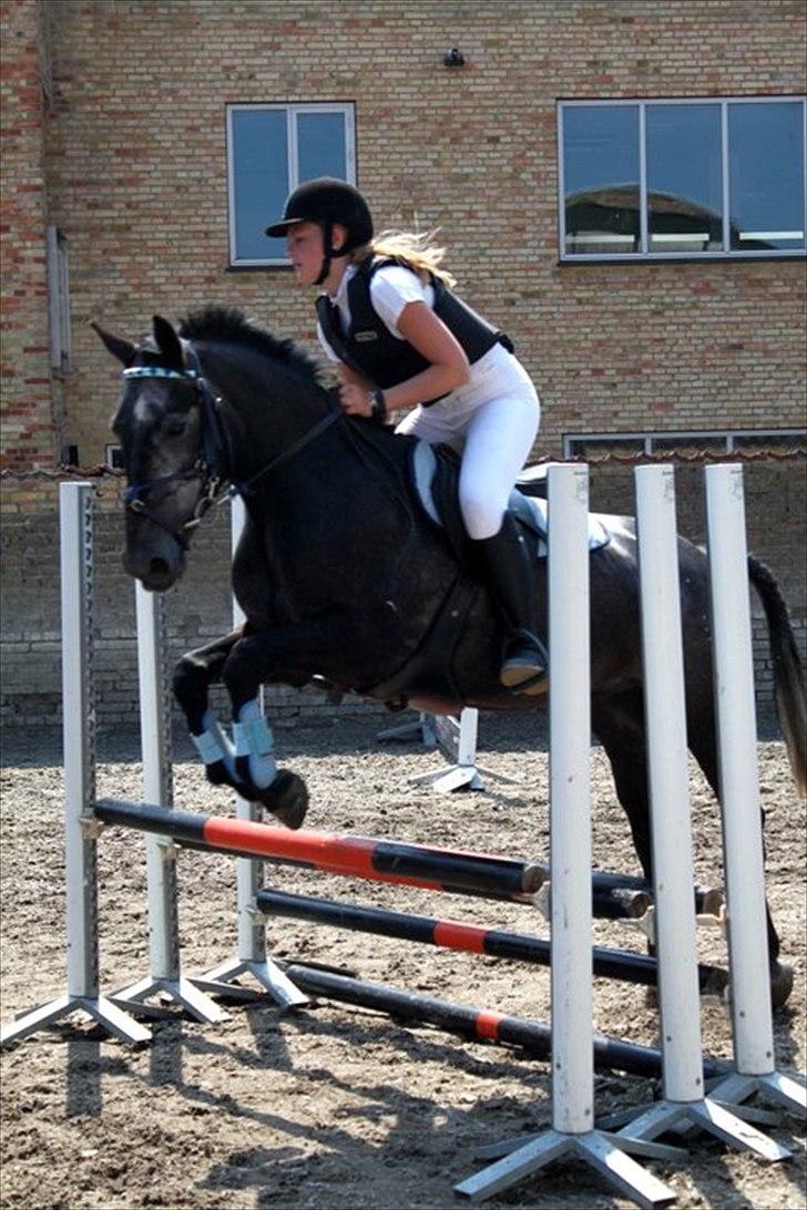 Anden særlig race My own star - rider nogengange :-) - LC på TPRK, det gik super fint med kun 8 fejl - han var sød, men jeg var virkelig nervøs, og jeg red som en lort, så han var rigtig dejlig <3 billede 2