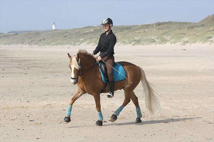 New Forest Holmens Facos <3 Solgt billede 10