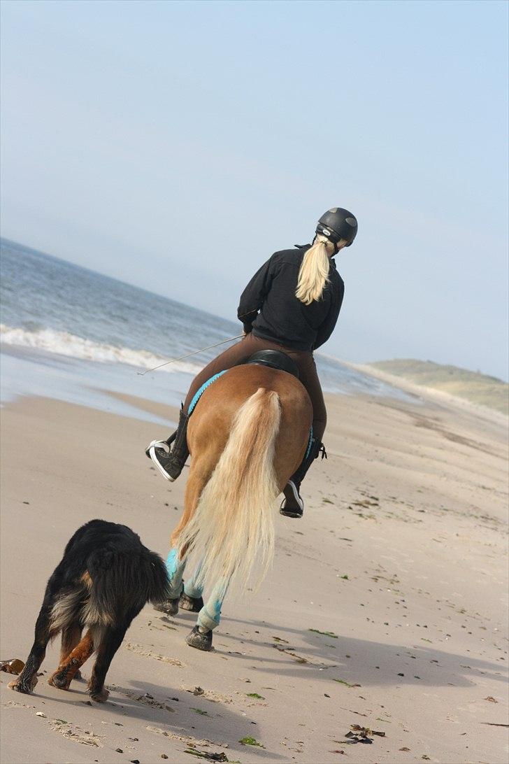 New Forest Holmens Facos <3 Solgt - Tænk at man kan have 2 så gode venner, som aldrig fortæller en hemmelighed videre <3'

 billede 12