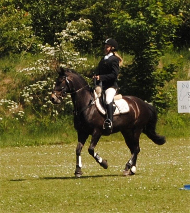 DSP Lerkærs Flicka  billede 19