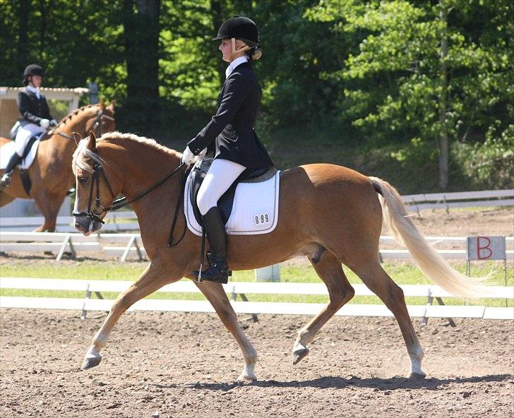New Forest Holmens Facos <3 Solgt - Middeltrav<3<3
 billede 14