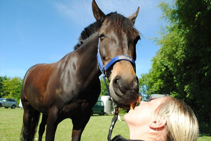 DSP Lerkærs Flicka  - Du er noget helt specielt som jeg elsker ud over alle grænser! billede 20