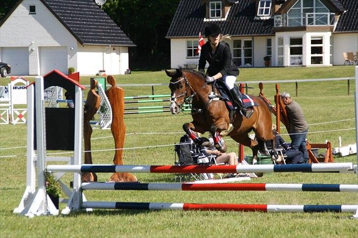 Anden særlig race °º•Ti amo•º°  - Morsø distrekt stævne..
LB!

-Taget af - Emilie Kathrine Nielsen billede 11