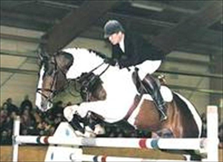 Barockpferd Felina Solgt - En super spring hest var han :)  billede 15