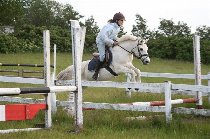 Welsh Mountain (sec A) speedy r.i.p - Min første og sidste Mb** på dig :')
Det her stævne betyder så meget for mig, du gik bare helt perfekt! 
+ du var den eneste til Hele stævnet som kom fejlfrit over vandgraven^^ billede 20