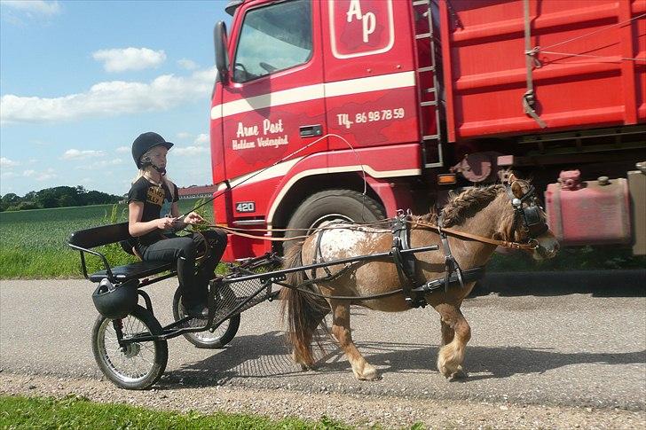 Miniature Tarzan billede 18