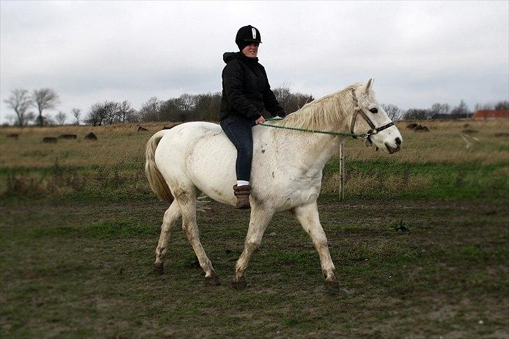 DSP  Stenvænge Sarka billede 9