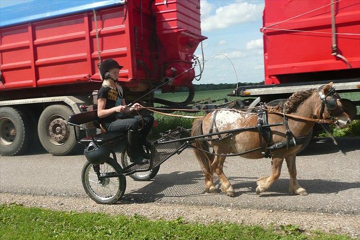 Miniature Tarzan billede 19