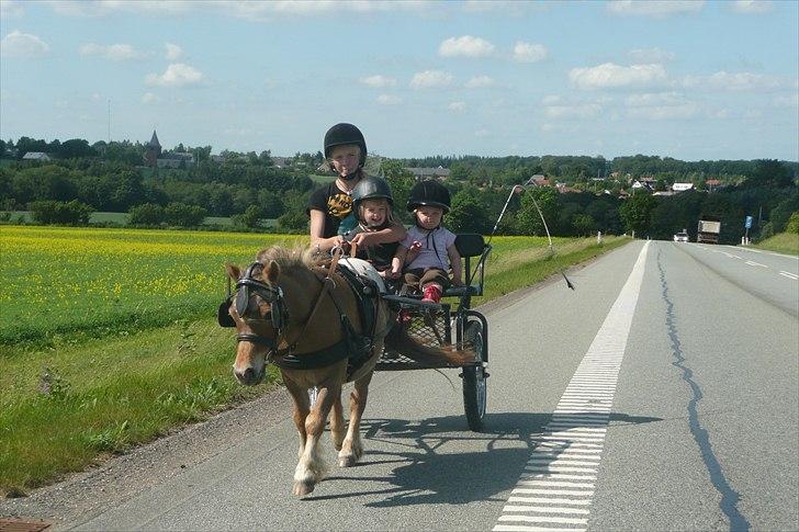 Miniature Tarzan billede 20