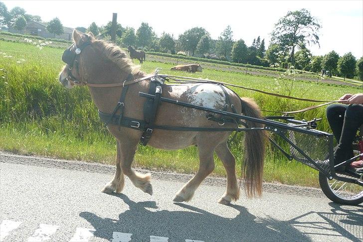 Miniature Tarzan billede 21