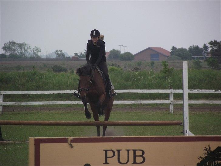 Anden særlig race Laura (red i sommers) - Springtrænning med Majbritt:D billede 19