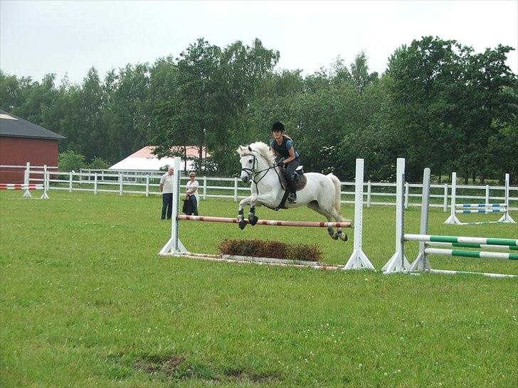 Connemara Skatholm Surf Rider - Træning :-) billede 13