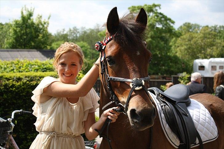 Anden særlig race Prins Kashmir • passer:-* - Kashmir ved kirken til gamle ejers konfirmation :-)
første gang de ser hinanden i lidt over et år :)<3 billede 1