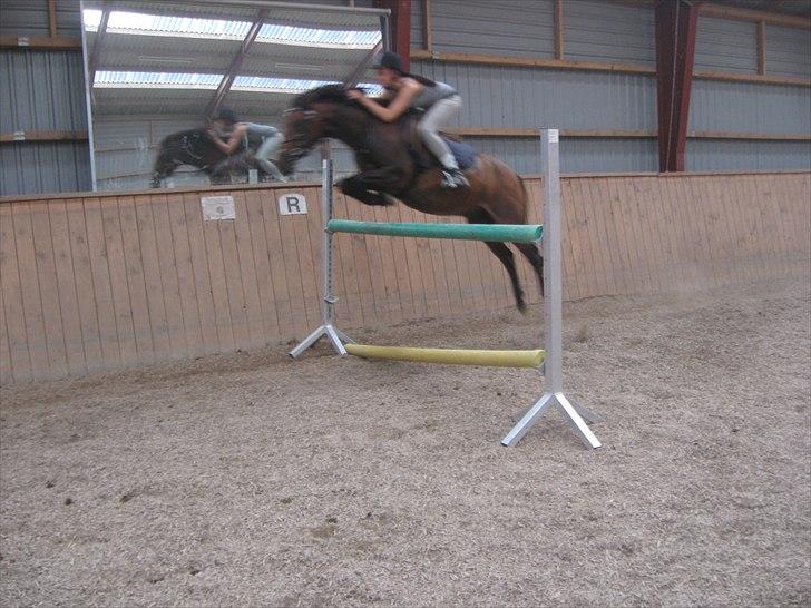 Anden særlig race Mister Mani - Sommeren 2010, 125 :-) lidt af en staaaaar!
*taget af safia* billede 3