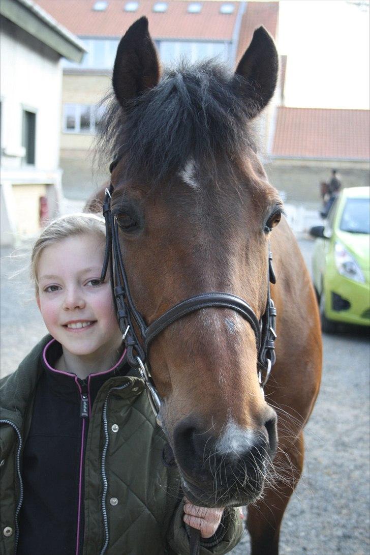 DSP MIRA-BELL VENTURE  - Billedet af Mira-bell og mig er taget af Laura fra stalden- hende der elsker Holger. billede 9