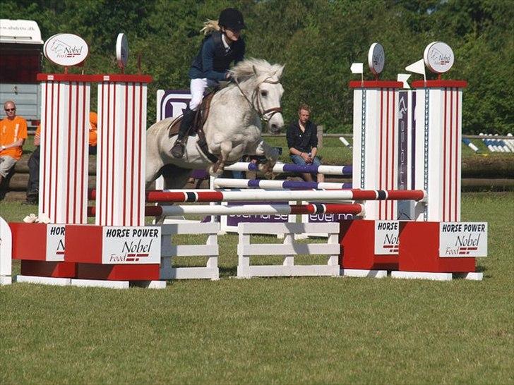 Connemara Sdr. Vestermark Carreen  - Mig og Carreen i Billund SJM-11:D<3 billede 14