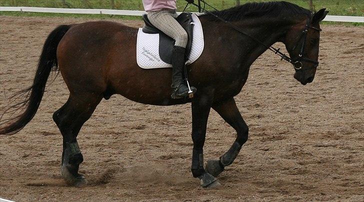 Oldenborg Teglgårdens  Farengo  - lidt løs gørelse - læg lige mærke til hvor fin halsen er blevet :)  billede 17