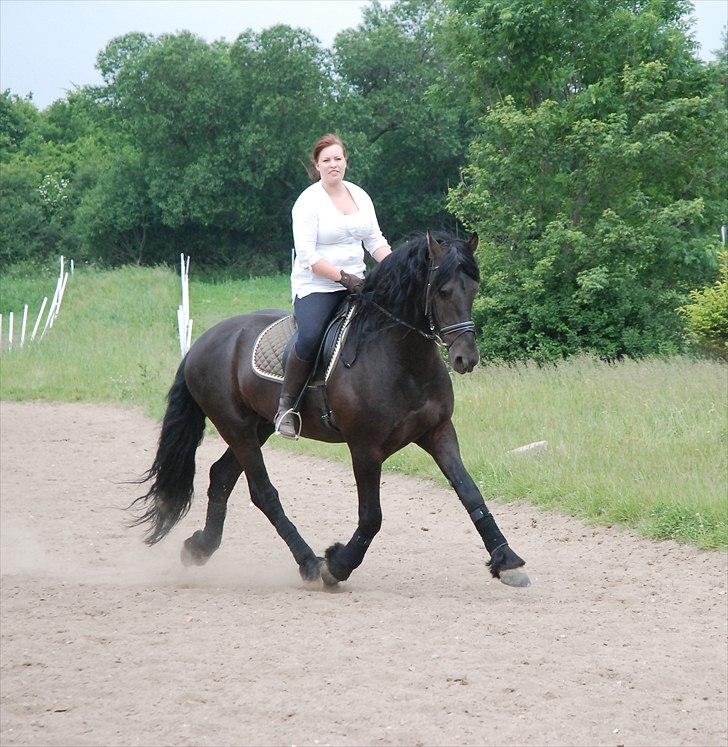 Frieser Luutzen Fan é Feart billede 15