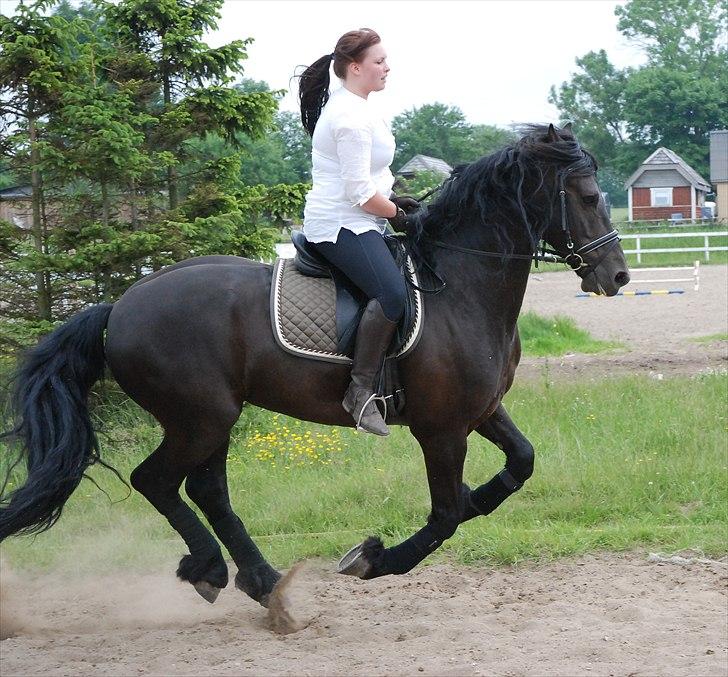 Frieser Luutzen Fan é Feart billede 7