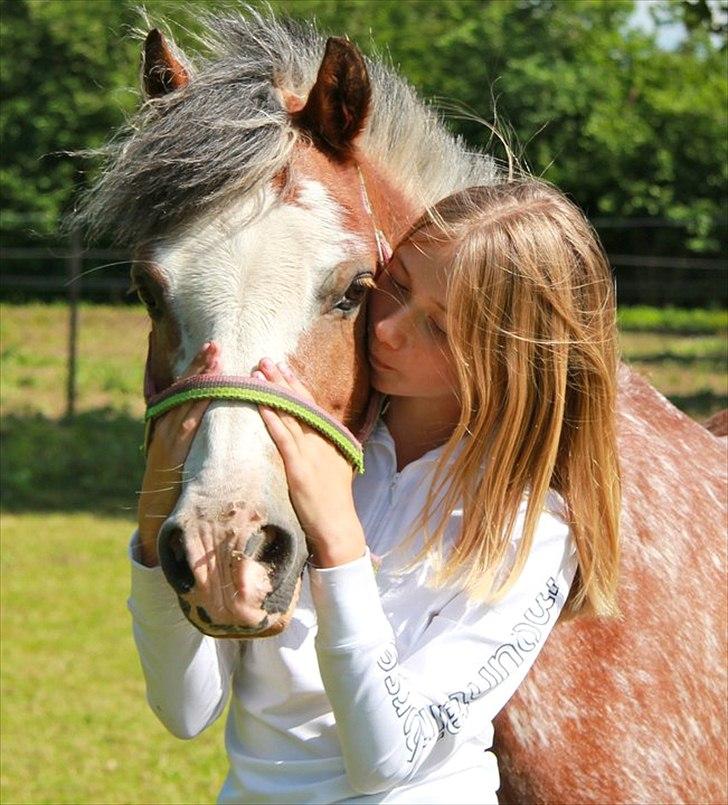 Welsh Pony (sec B) Teggi (SOLGT) - lad nu være med at lægge kyssebillederne ind men du er så sød at passe mig
fik lige øje på manen den er bare sej syntes mor det er den også jeg syntes hun skal være frisør men hun vil heller springe billede 18