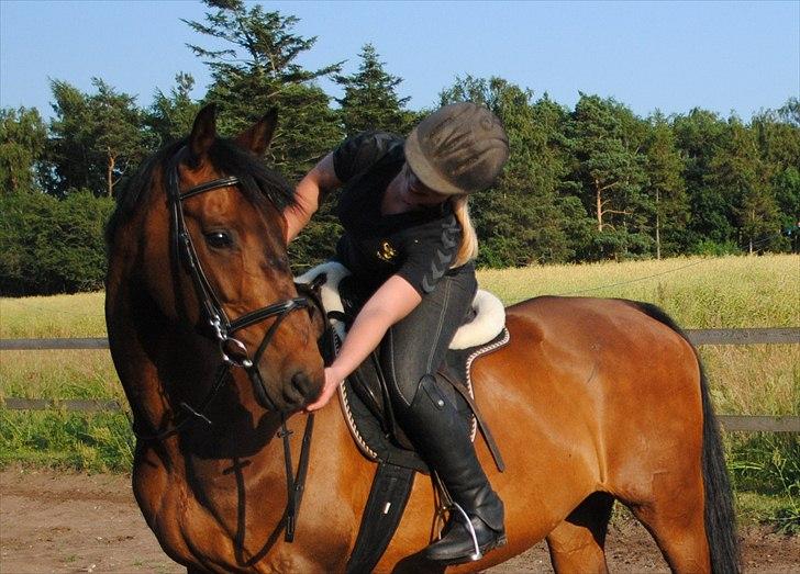 Dansk Varmblod Gamborg´s Duchess - Velkommen til Duchess'es profil <3 billede 1