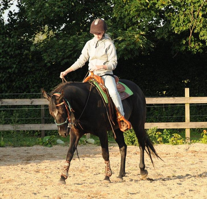 Quarter BB's Black Hot Filly billede 2