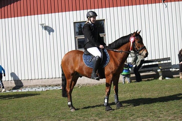 Anden særlig race Prince Star Light *Solgt! /-':* billede 6