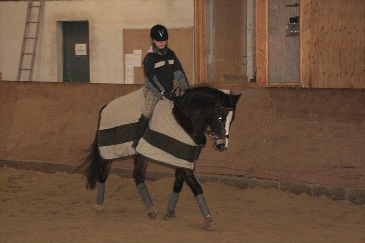 Anden særlig race Hera - Følle og jeg træning i vinteren 2010.♥ 
 billede 7