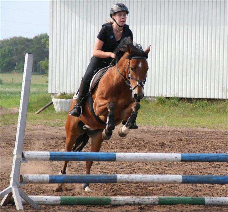 Anden særlig race Prince Star Light *Solgt! /-':* - Velkommen til Prince Star Light profil! :-D.
Pernille Jensen har taget billedet. billede 3