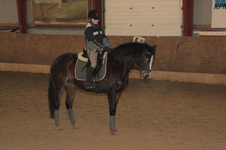 Anden særlig race Hera - Følle og jeg træning i vinteren 2010.♥ 
 billede 8