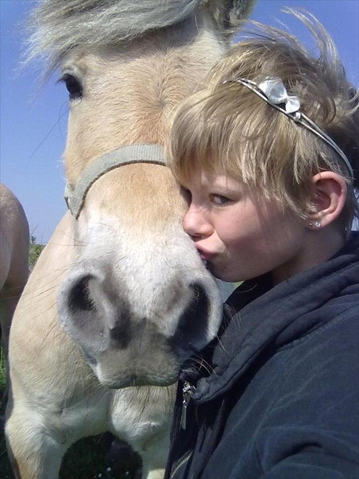 Fjordhest Basse/Bassemand!:*<3. - Mig og ham!<3 billede 2