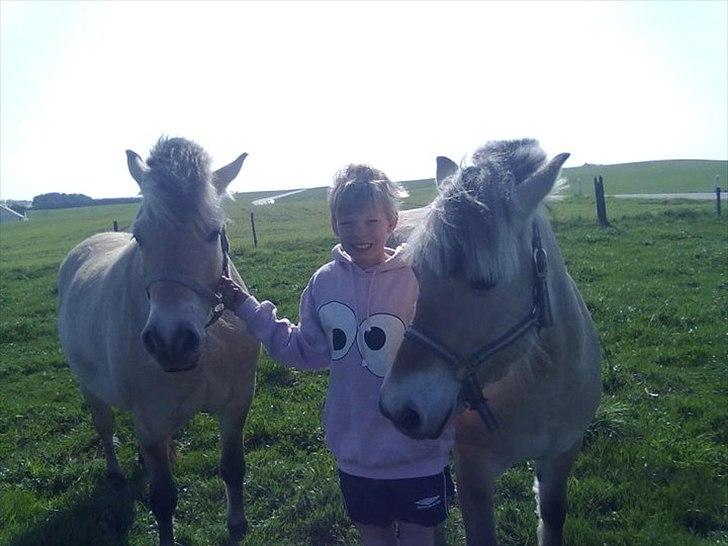 Fjordhest Basse/Bassemand!:*<3. - Mig ham og Trunte!<3 billede 5