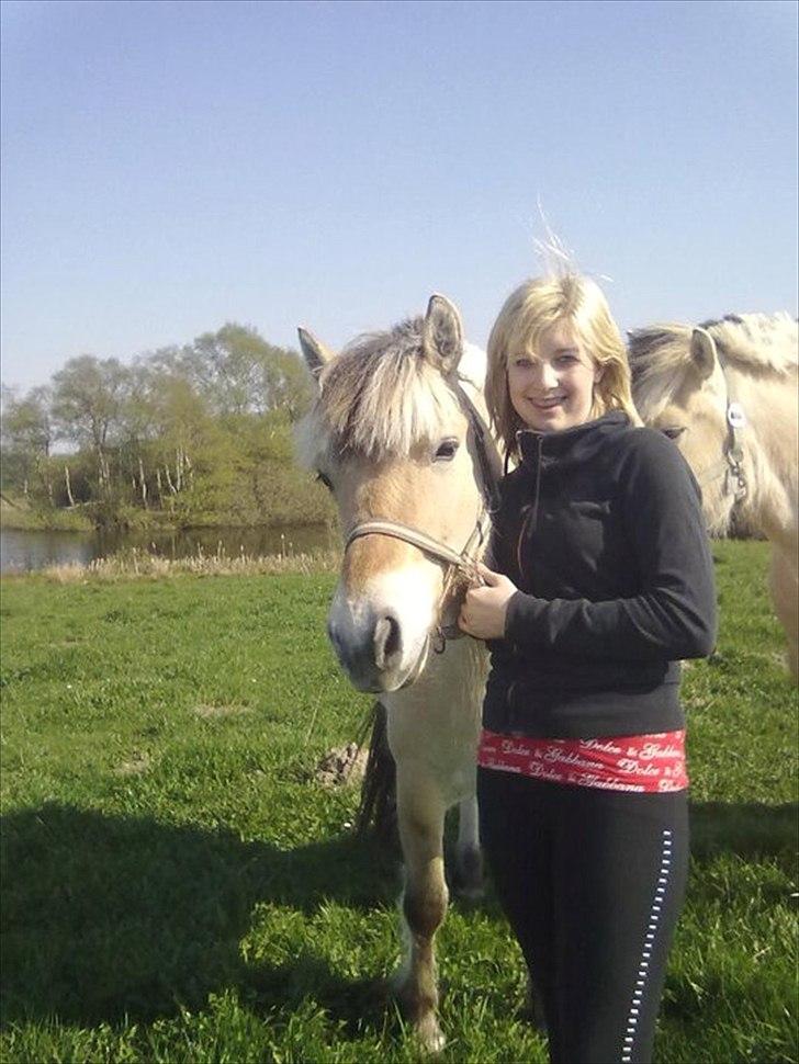 Fjordhest Basse/Bassemand!:*<3. - Dem alle tre igen!<3 billede 14