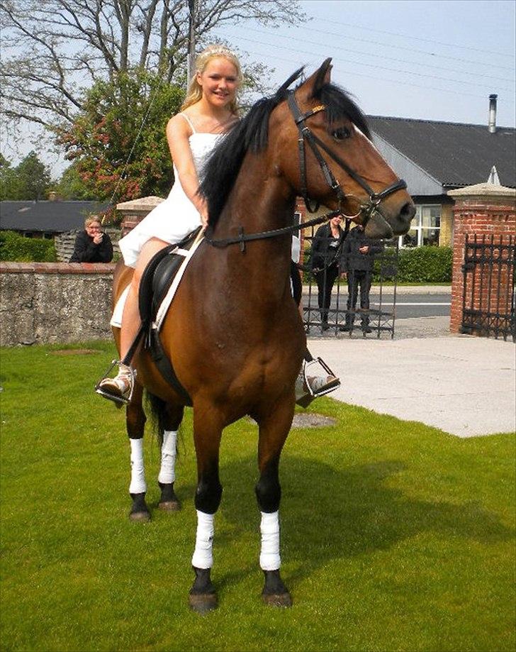 New Forest Mastwood Honeymoon - Master og mig til min konfirmation - 2011 billede 11