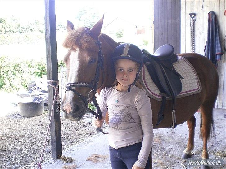 New Forest Perle! Solgt):<3 - Perle og Nadine (ny ejer).. Så søde sammen ! :) <33  billede 3