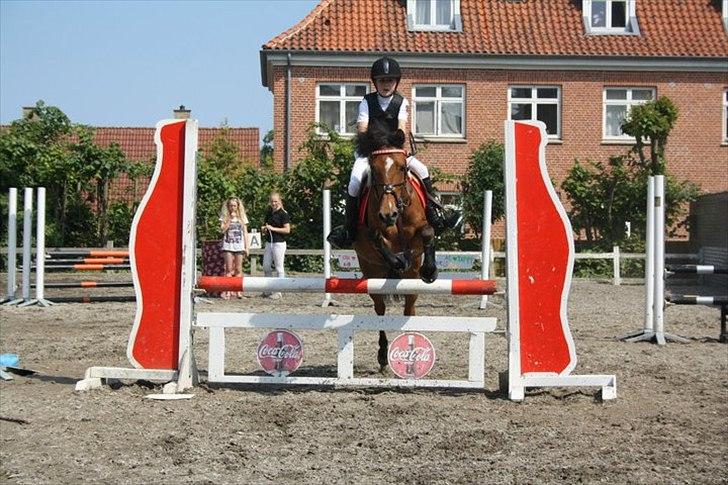 Belgisk Sportspony Icara <3 - Mig og Icara i en fejlfri LA på TPRK! <3 billede 8